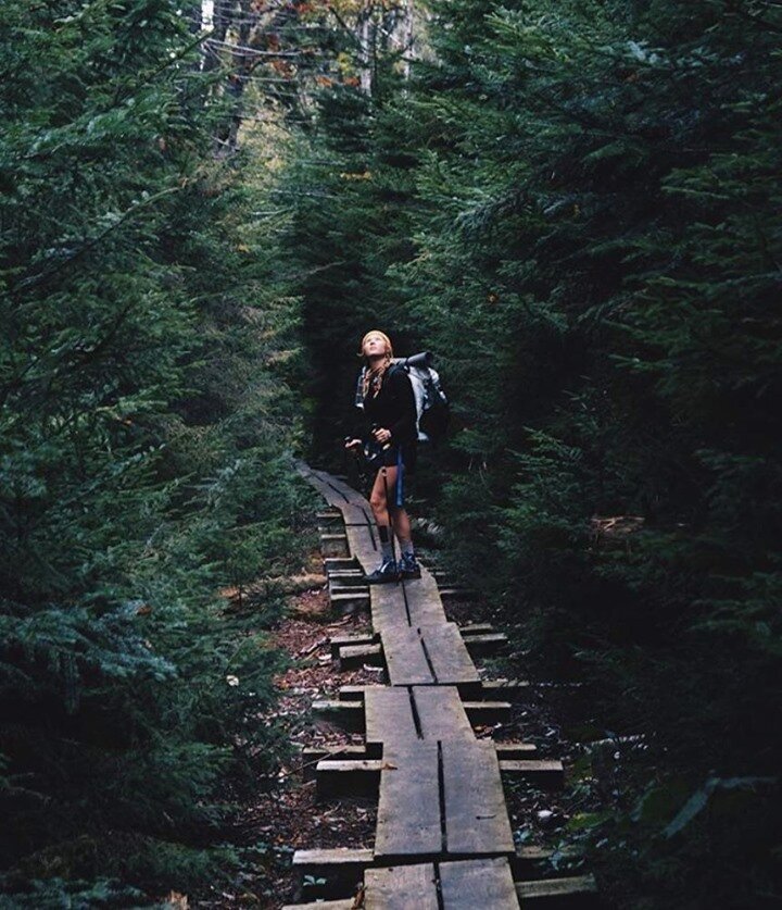 @katethewild on The Long Trail - &quot;I&rsquo;m in awe of this forest, left speechless at times. It&rsquo;s full of life and as rugged as they say. Rocks cover the trail as if they have exploded out of the ground. Roots grip the mountainside like cl