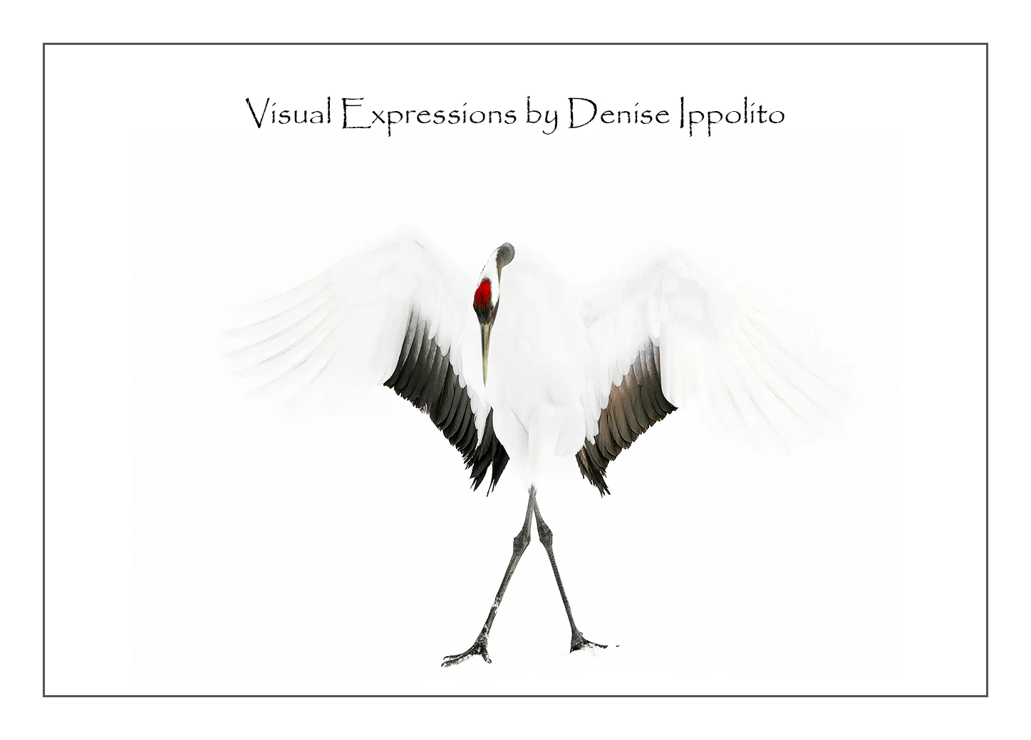 Visual-Expressions.jpg
