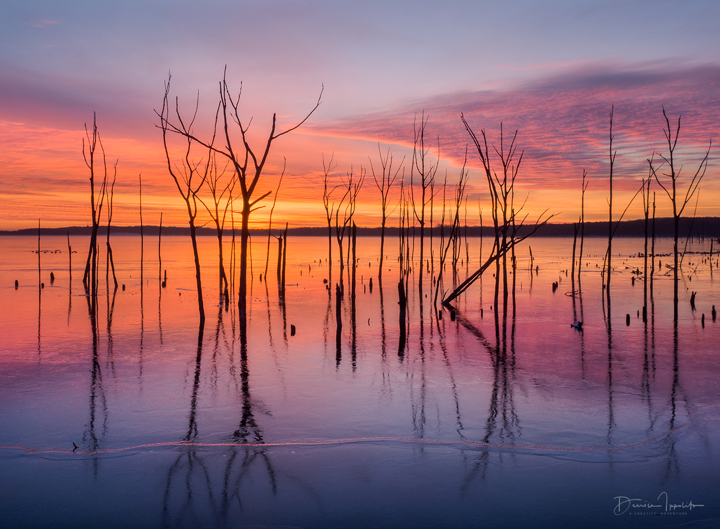 Manasquan Reservior