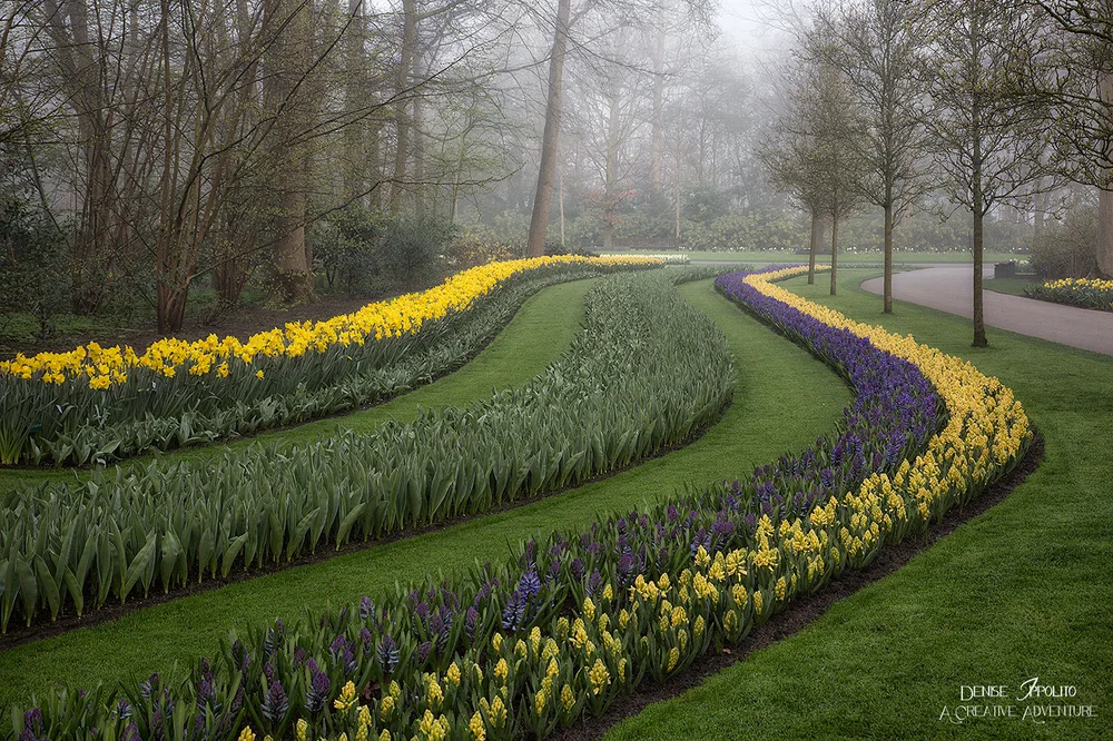 Visual Lines in Landscapes — A CREATIVE ADVENTURE photography by denise ...