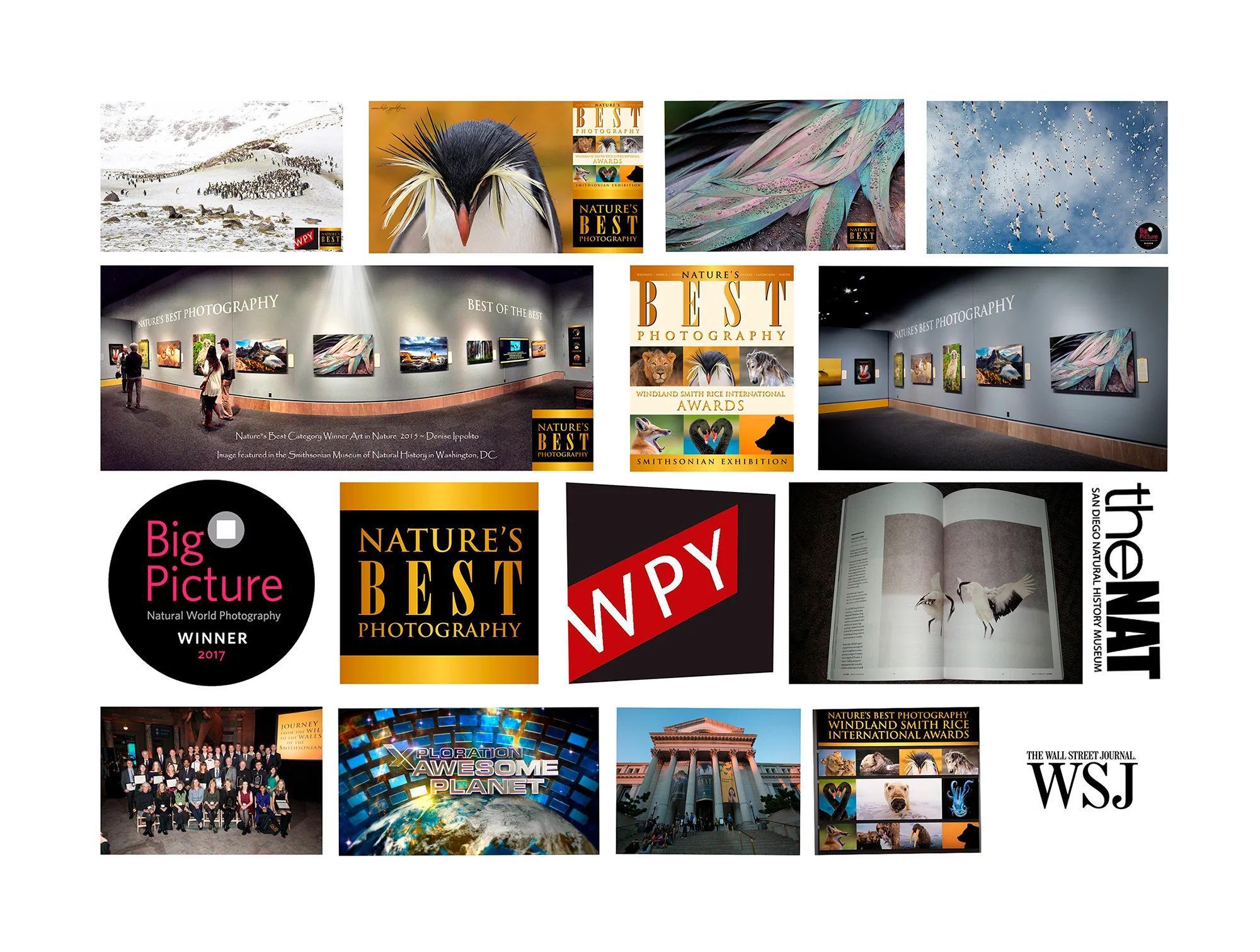 Having two category winning images hang in the Smithsonian is certainly a highlight in my career.