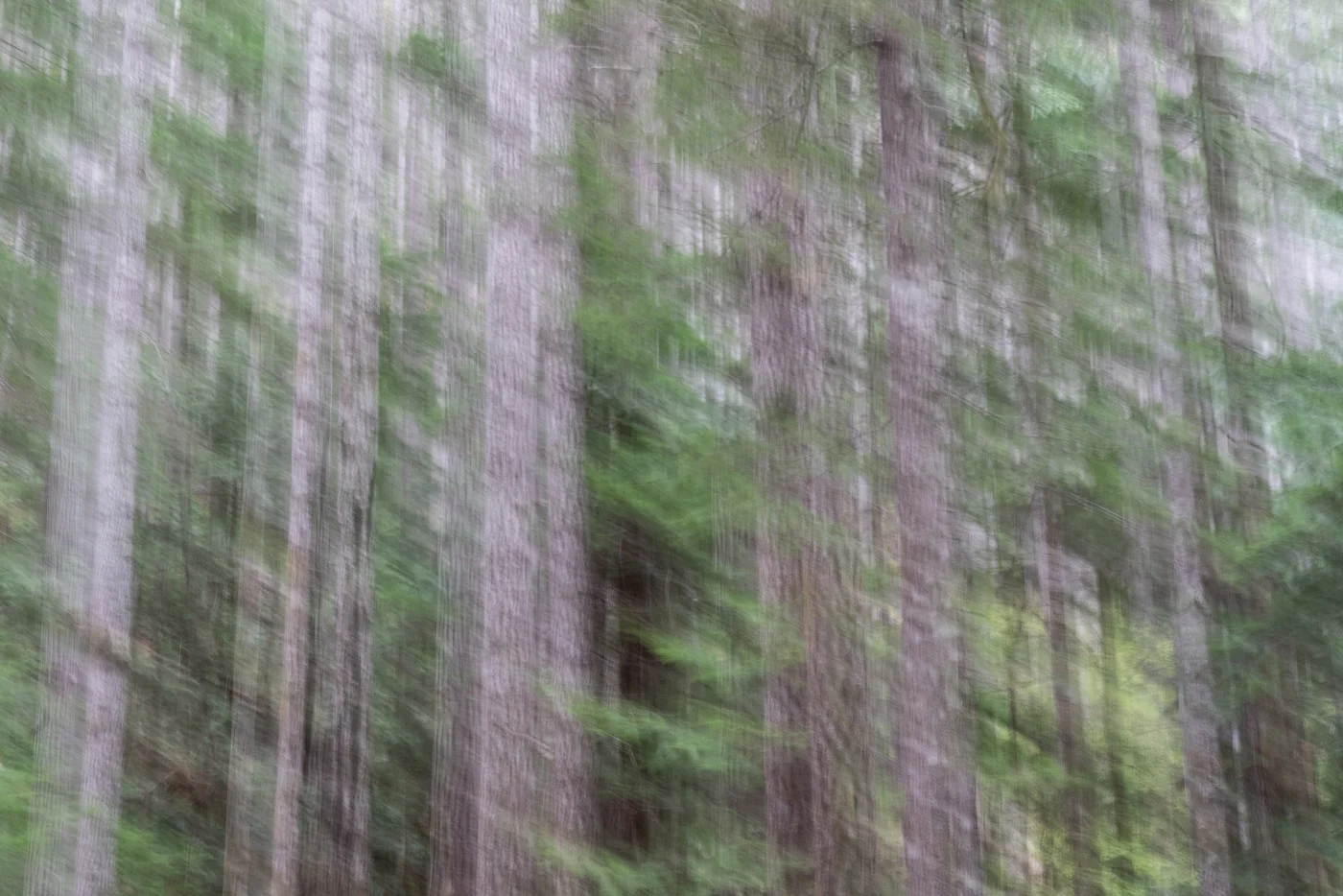 Before post processing-cropped from original