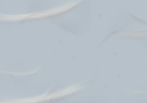 #2 Close-up of the left top corner of the image-showing all of the dust bunnies