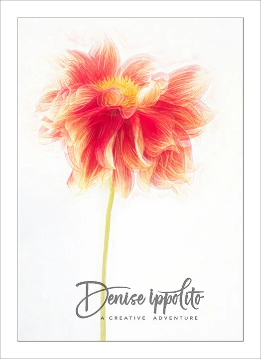 Topaz Glow and Impression applied