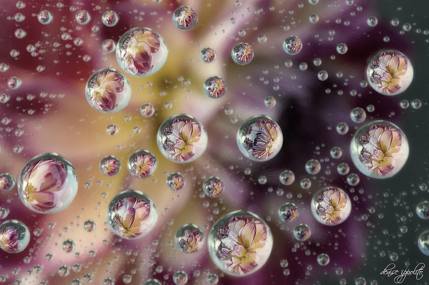 Creative Water Photography Ideas Creative Water Photography Ideas