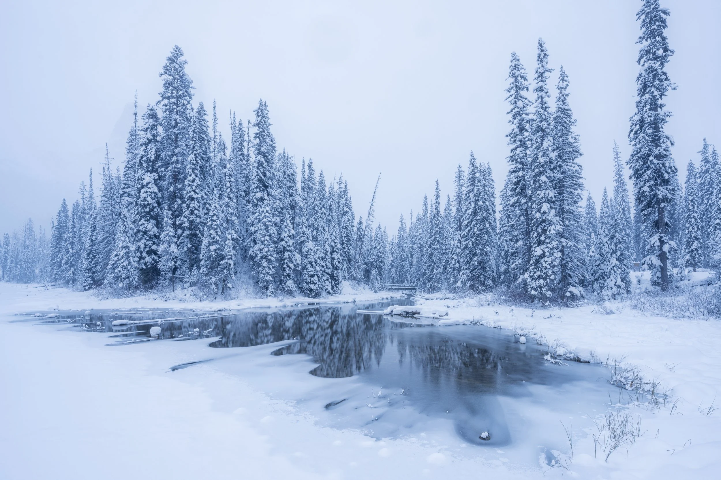 _DSC9999.jpg