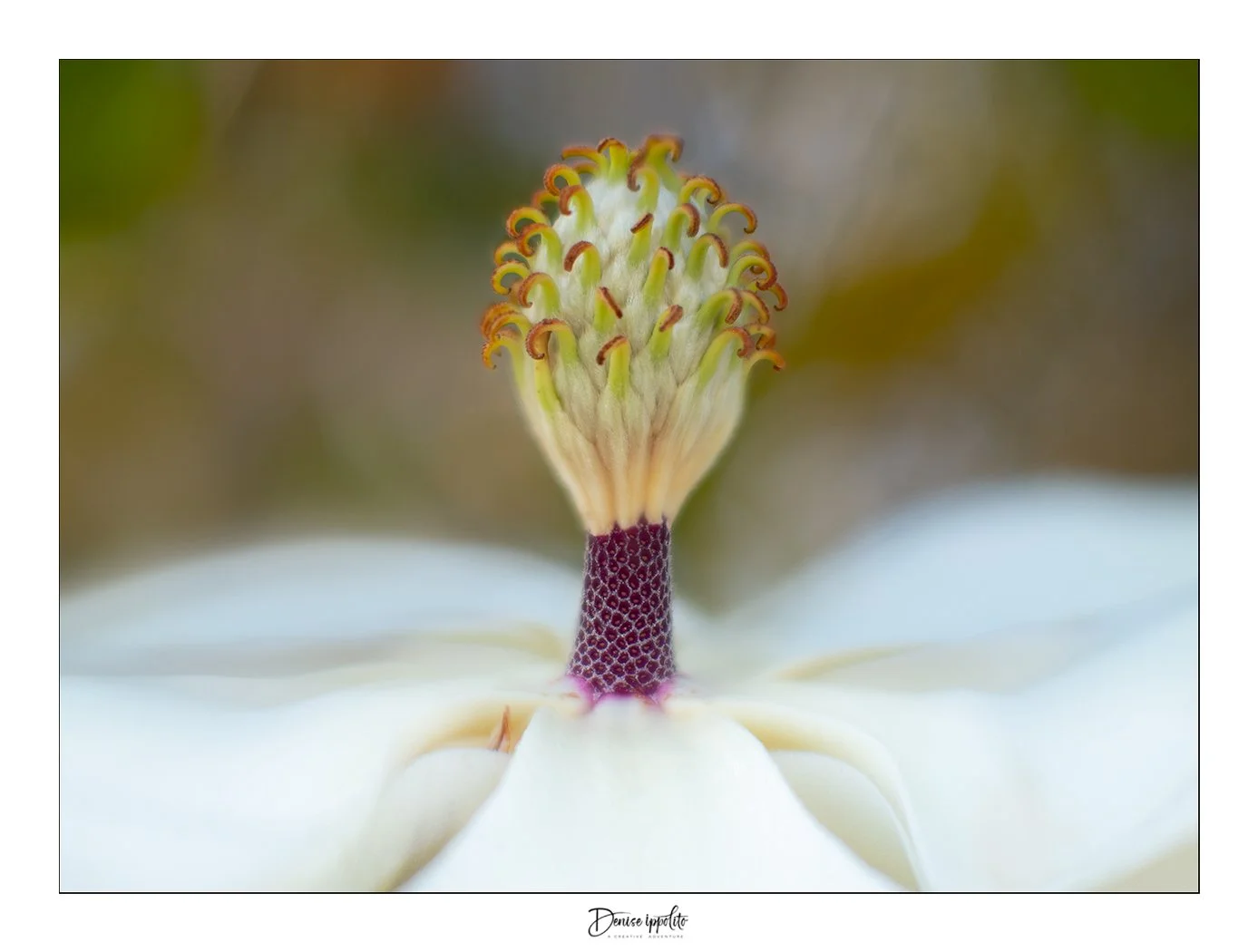 _1010181-Edit-print.jpg