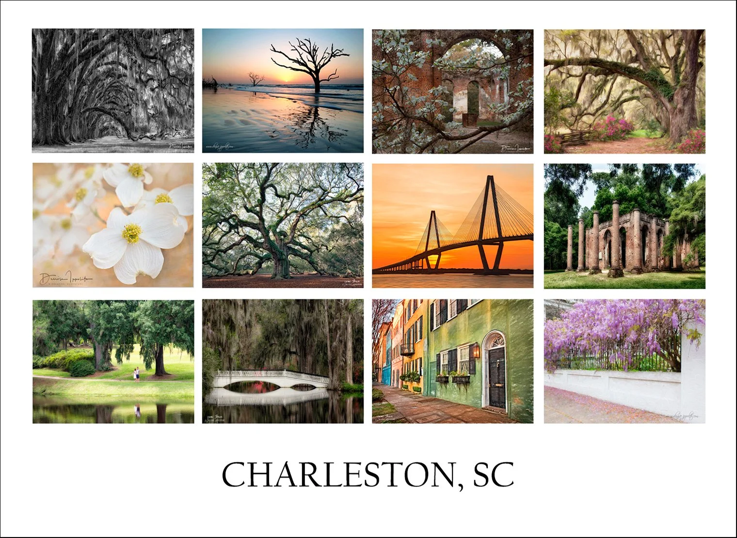 Charleston-(2).jpg