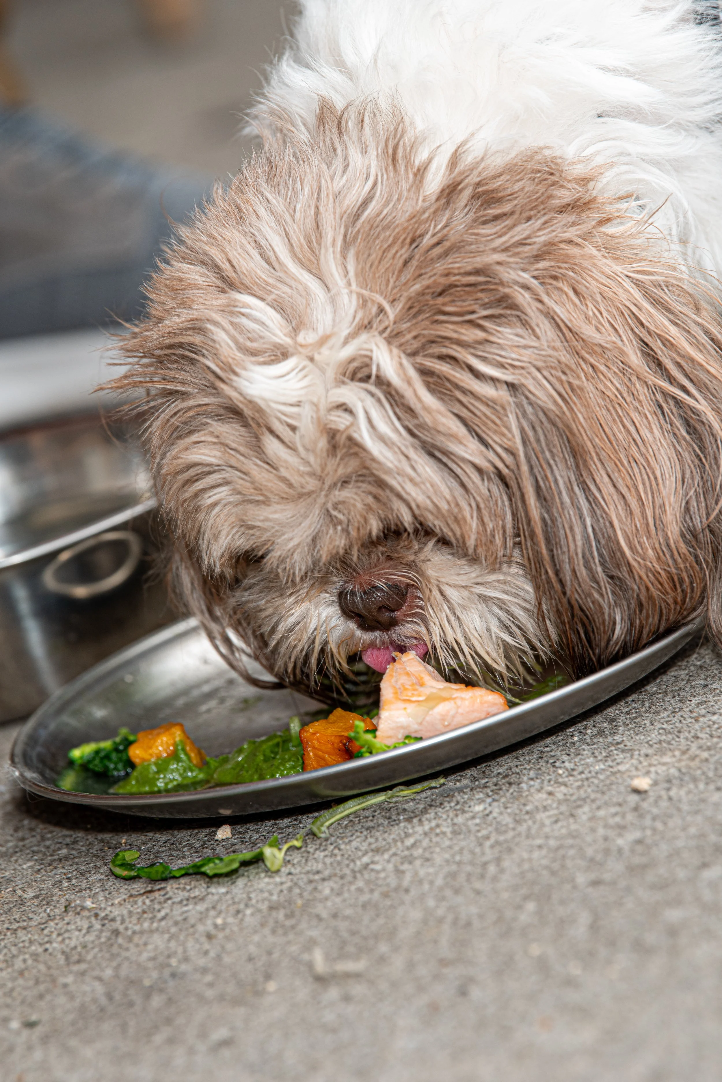 BoneAppètit_June8-255.jpg
