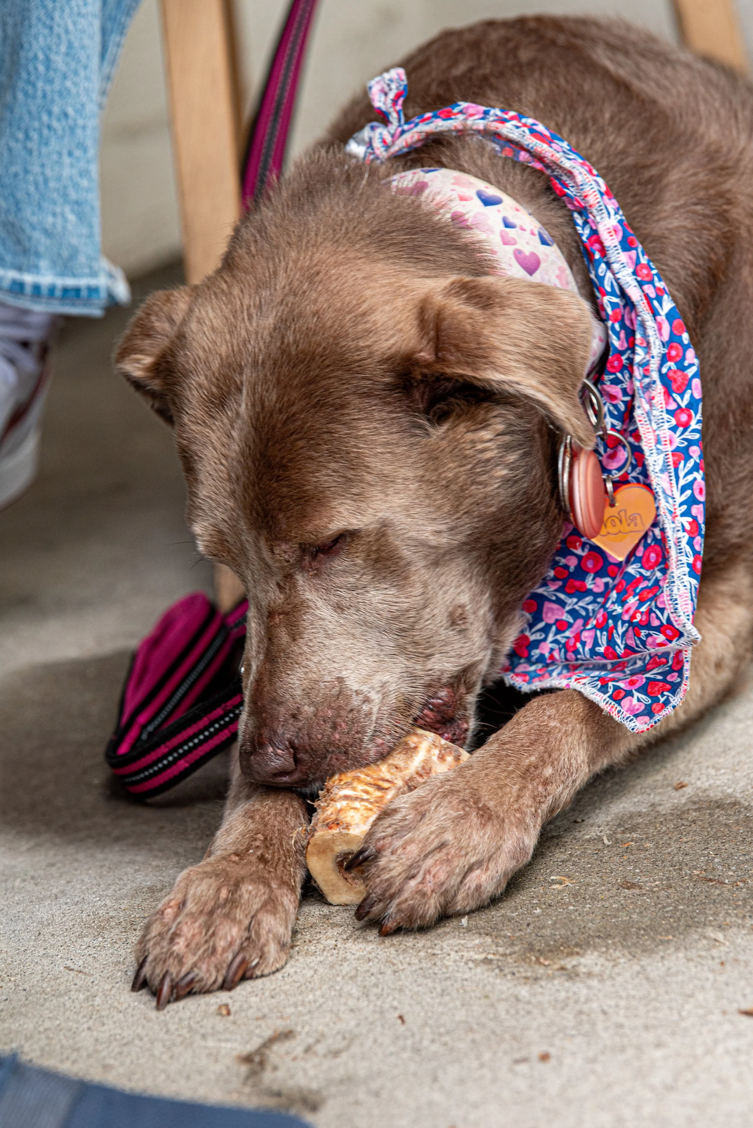 BoneAppètit_June8-257.jpg