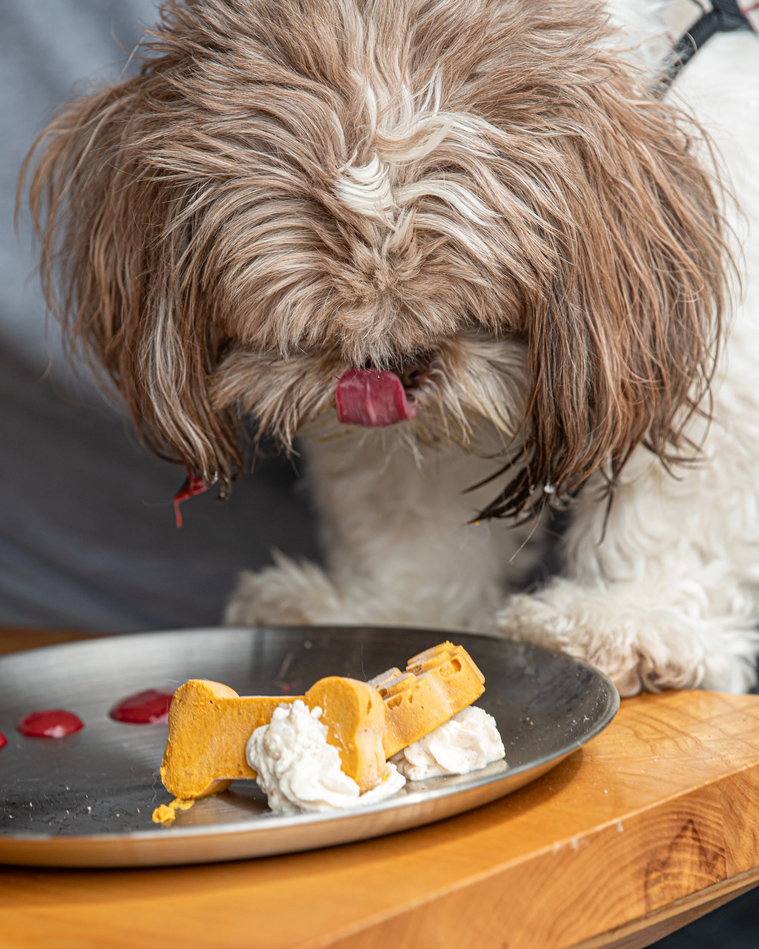 BoneAppètit_June8-268.jpg