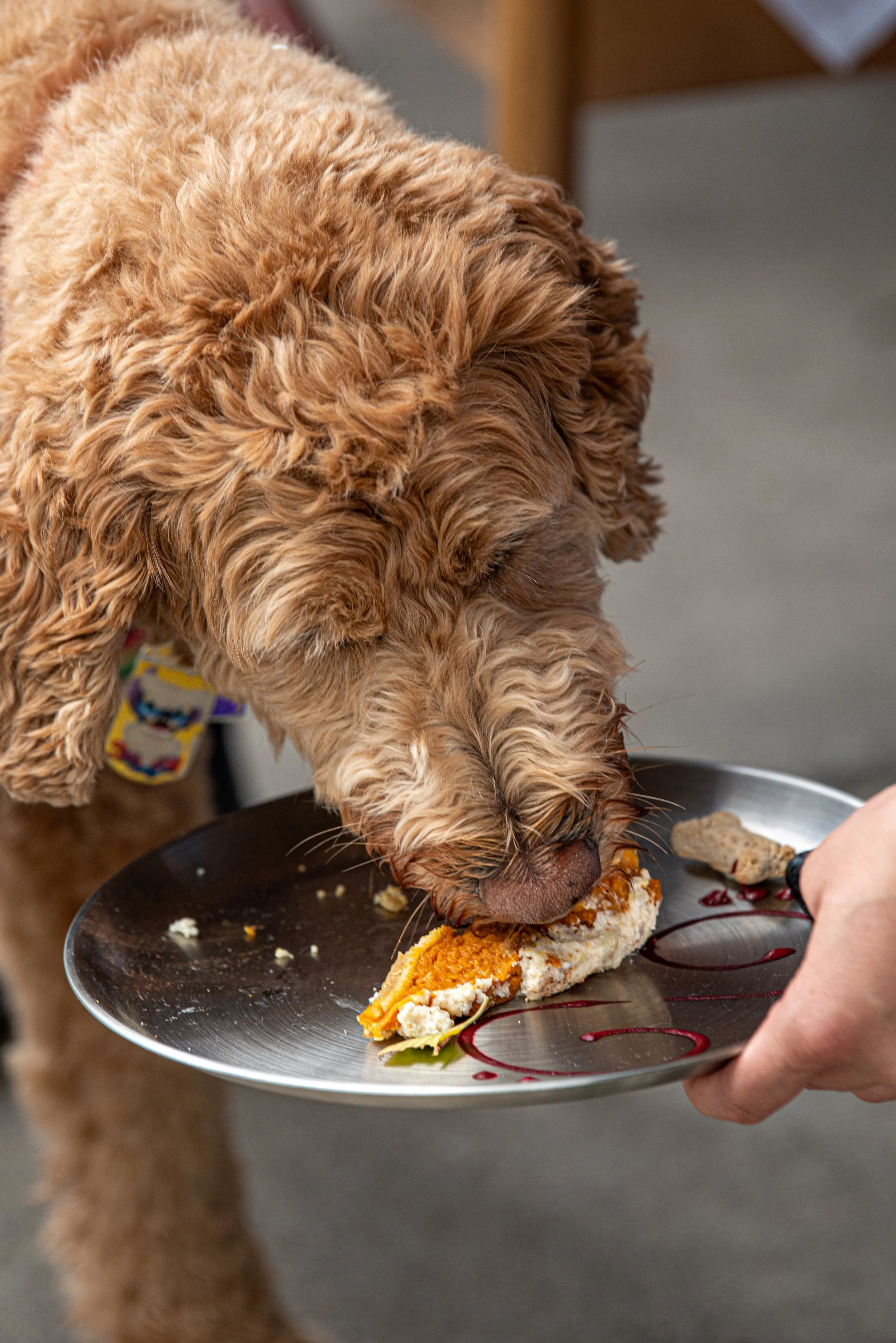 BoneAppètit_June8-269.jpg
