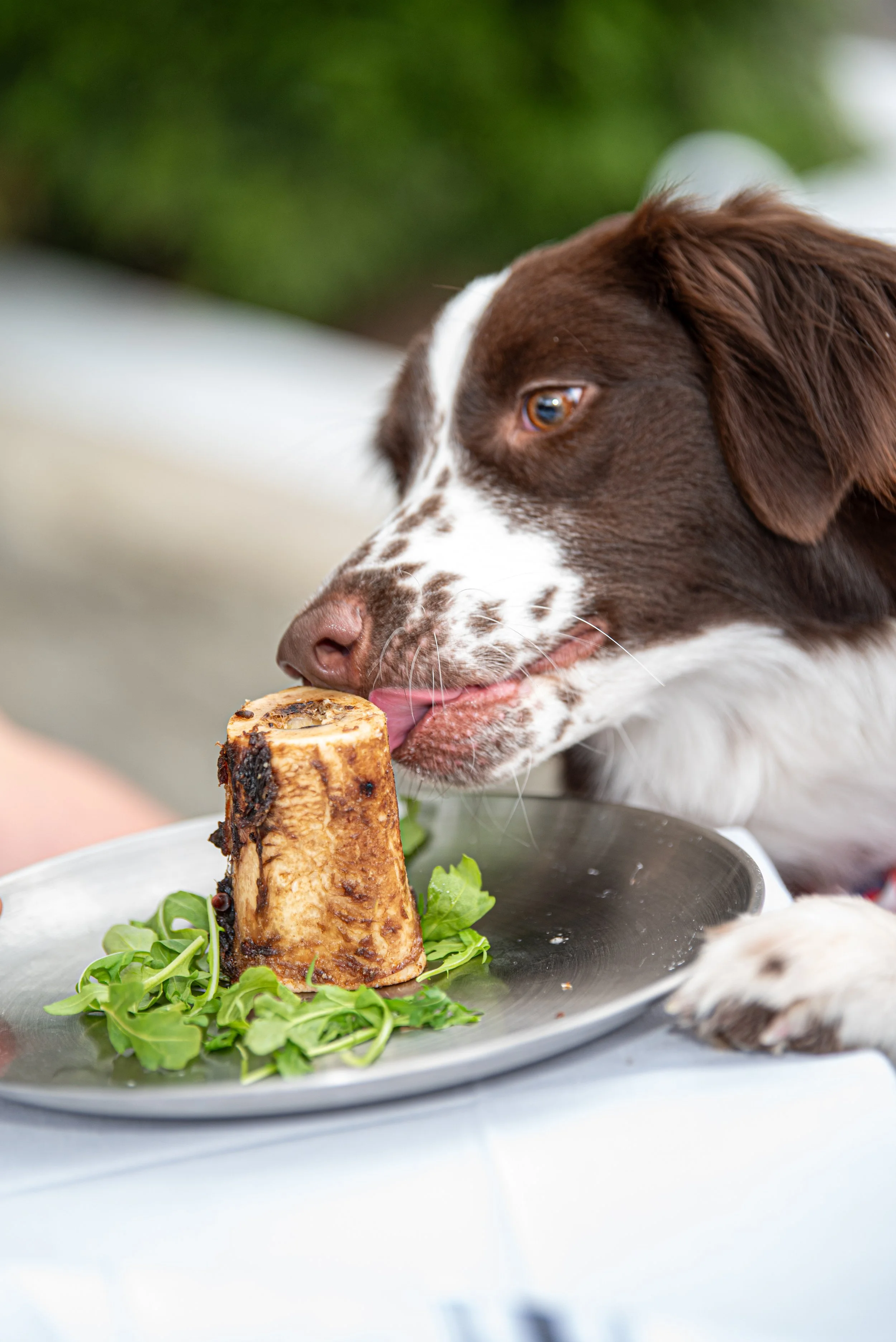 BoneAppètit_June8-287.jpg