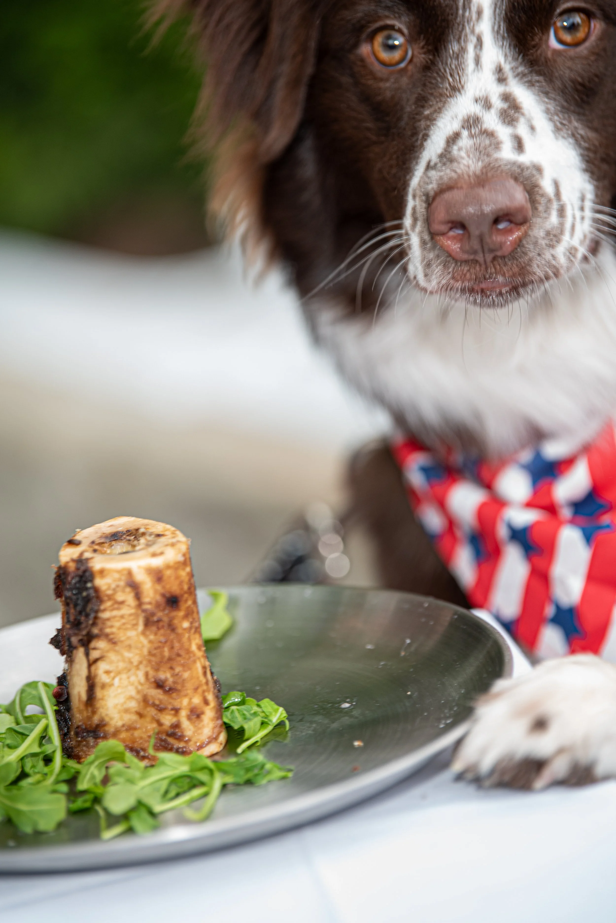 BoneAppètit_June8-289.jpg