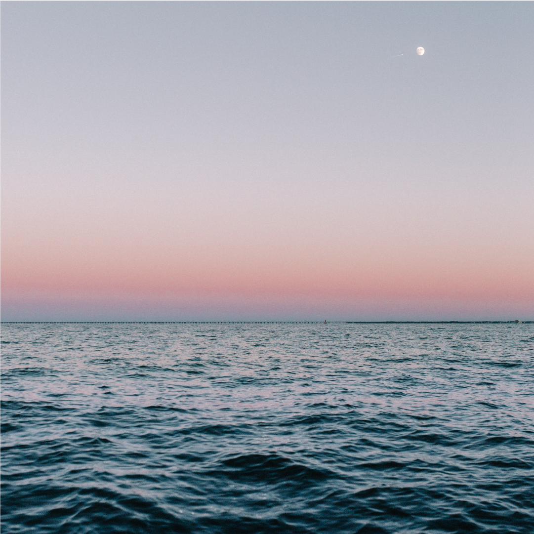 Artboard 1 copy_6.png