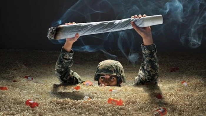 Marijuana_veterans_PTSD.jpg