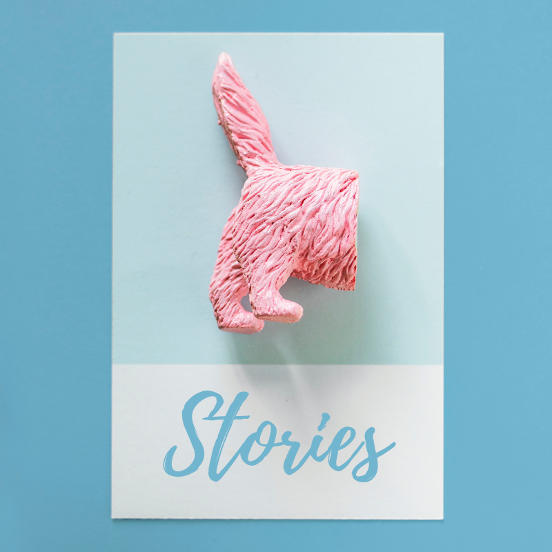 Stories.png