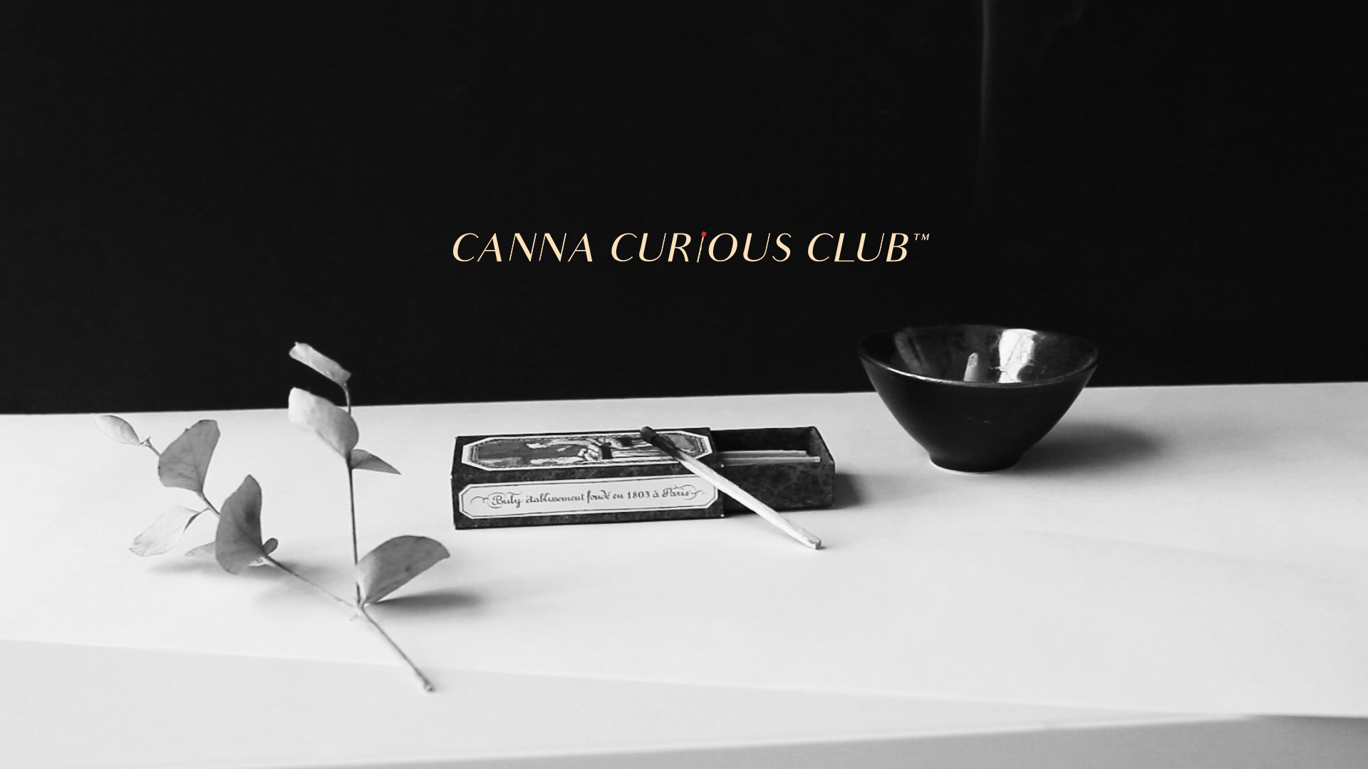 Header-and-Logo.gif