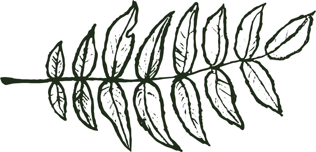 LHL.Leaf.Right@2x.png