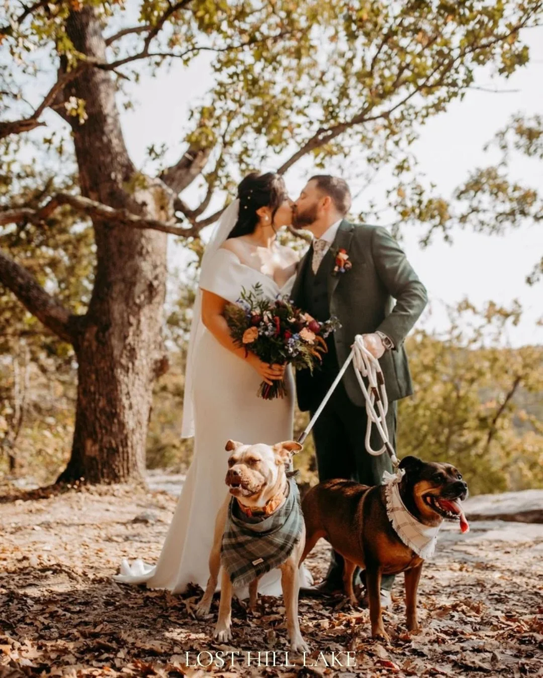 Our preferred vendor list is tailored to make your wedding experience effortless. ✨

From stunning florals designed for our arbors to scenic portraits at all the right destinations. 

We have you and the pups covered. 

📸 Brittany Reed Photography
?