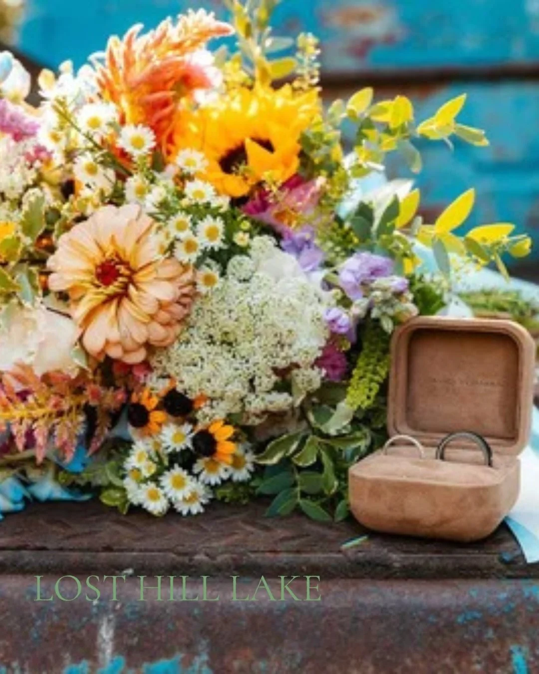 🎄 Engaged over the holidays? 

Before the planning panic hits, stroll our venue.

&bull; Scenic Nature Everywhere 🌿
&bull; Ceremony spots for every vibe
&bull; Free tours all year ✨

Our vibrant outdoor wedding venue is just 45 minutes from St.Loui