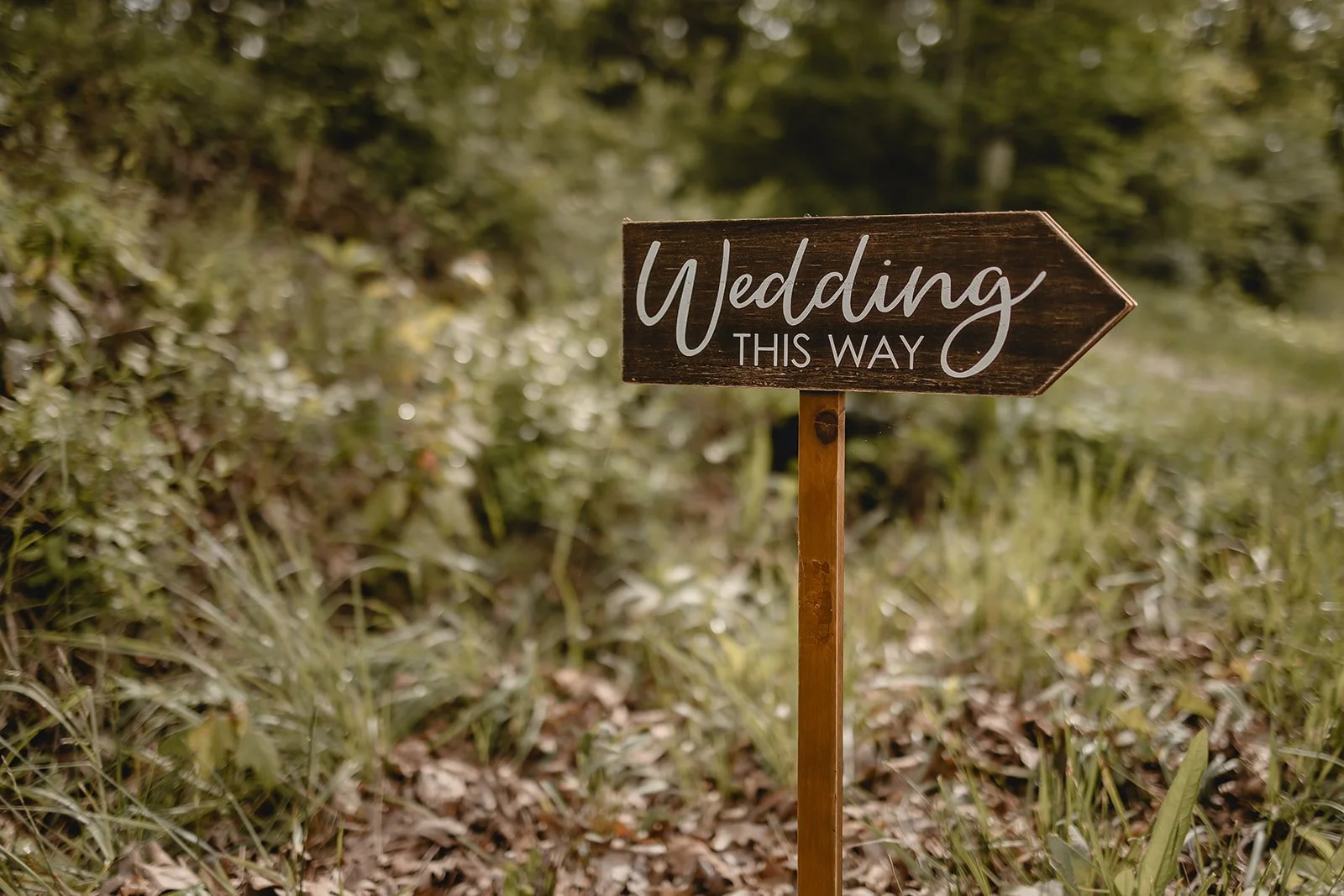 Ask Lost Hill Lake - How to Turn Your Wedding Into a Mini Vacation for Your Guests