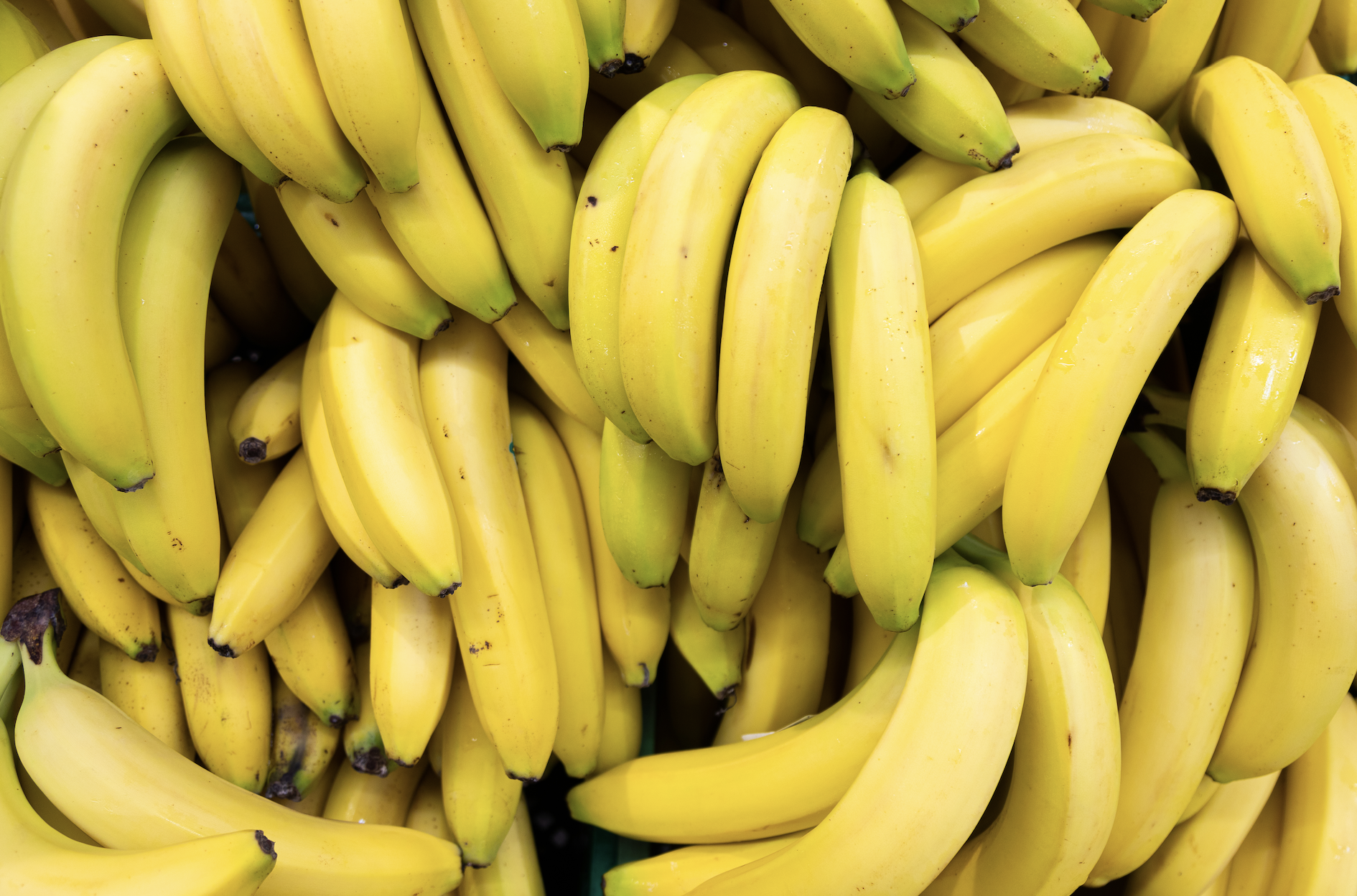 Banana-screengrab.png