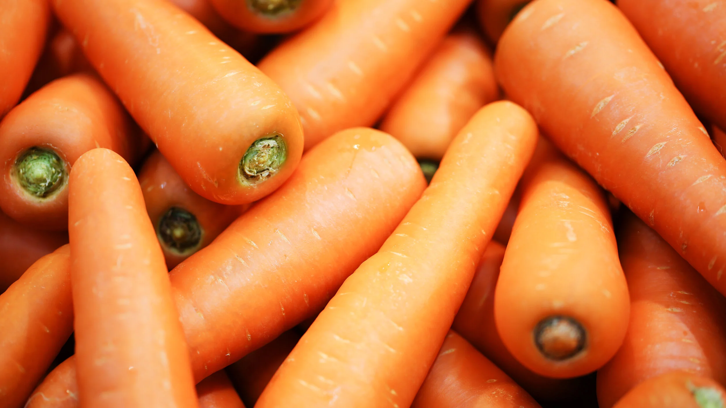 Photograph of carrots up-close