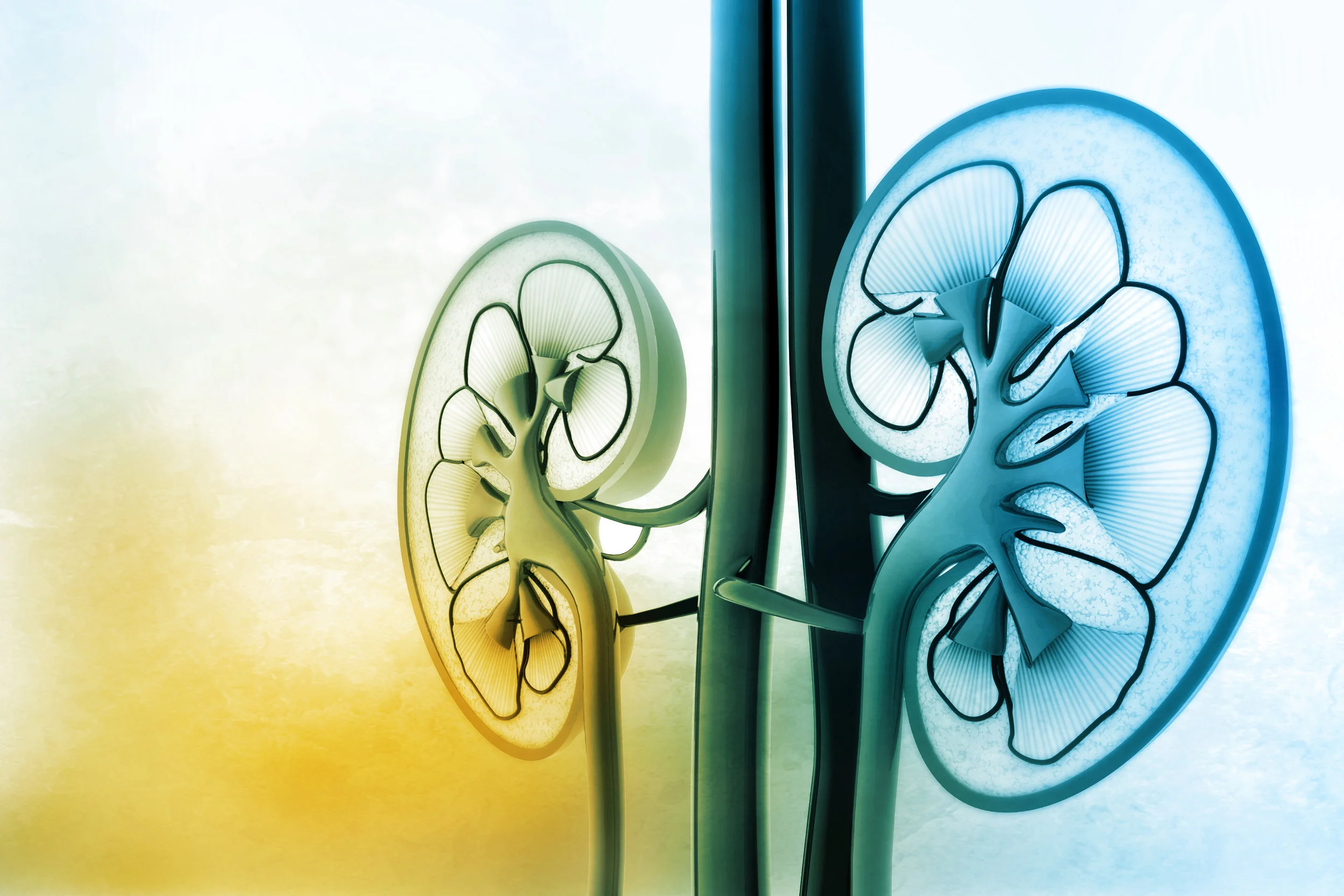 AdobeStock_101201109.jpeg