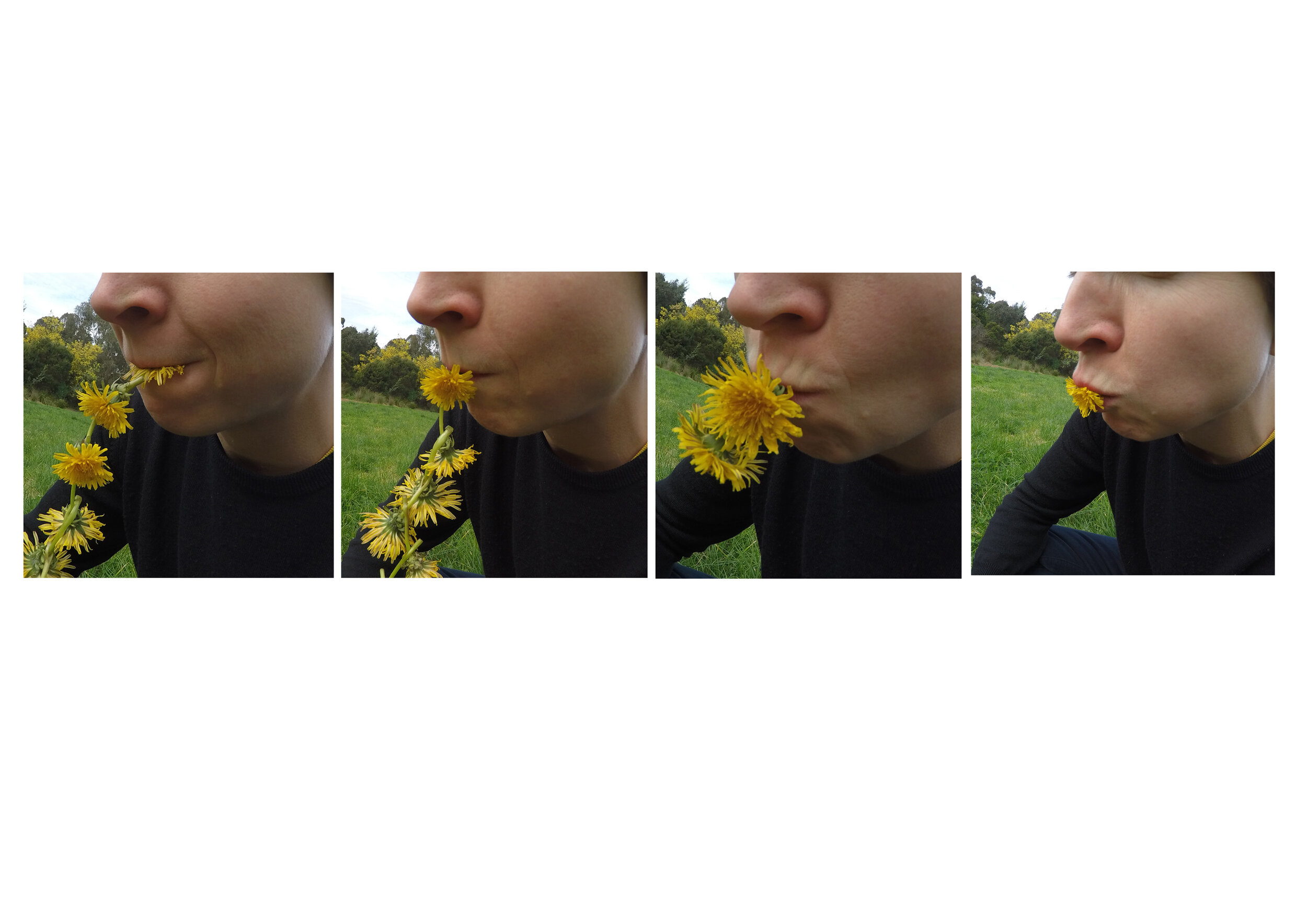 BartleyHowtomakeandeatdaisy2017performancestills.jpg