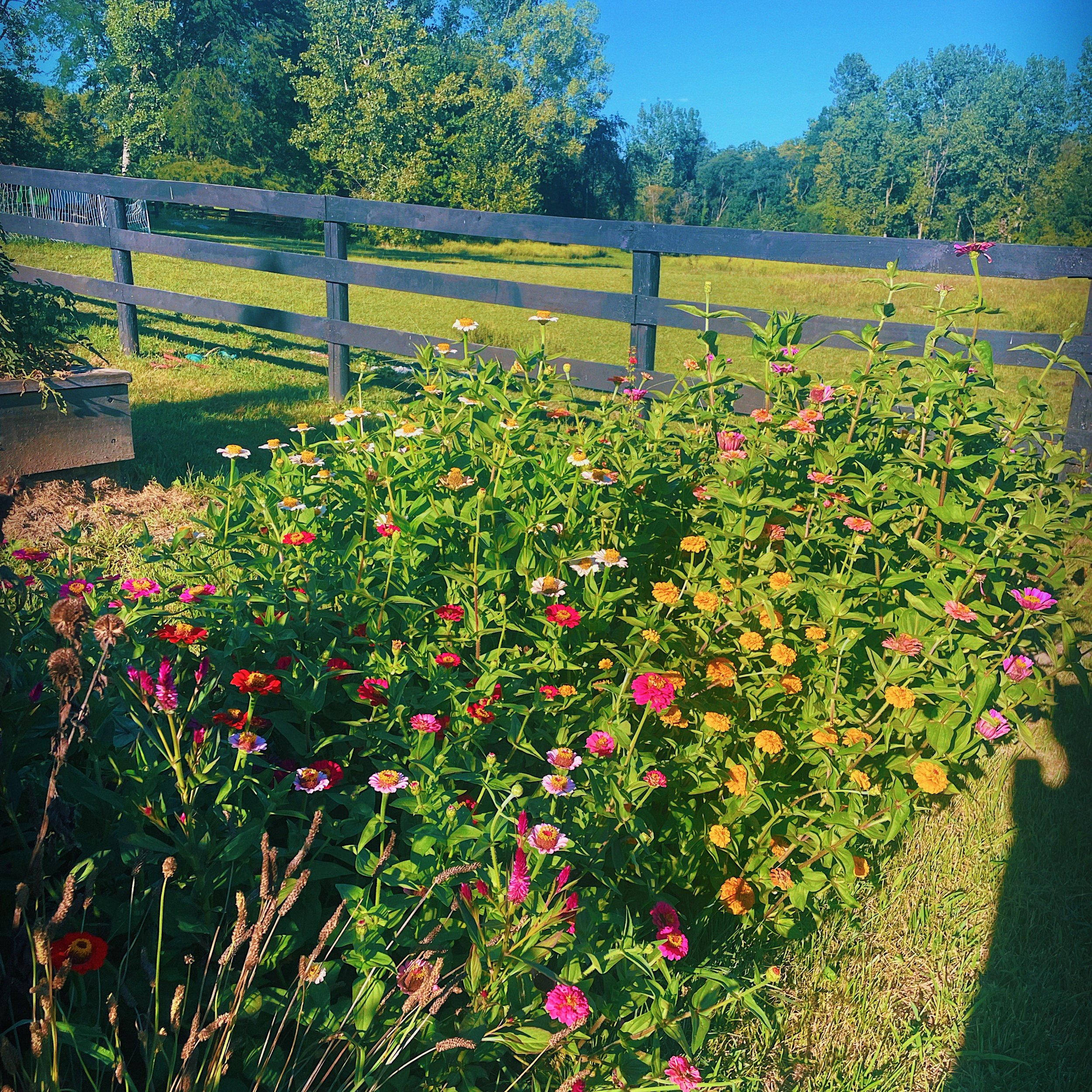 7925C8B1-76EF-4C2D-9D8A-38413ADF535C_VSCO.JPG
