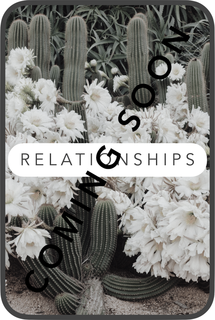 Relationships Grayed Icon.png