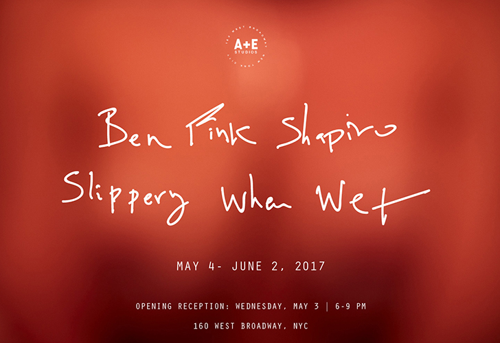 Ben Fink Shapiro Slippery When Wet Exhibition w.jpg