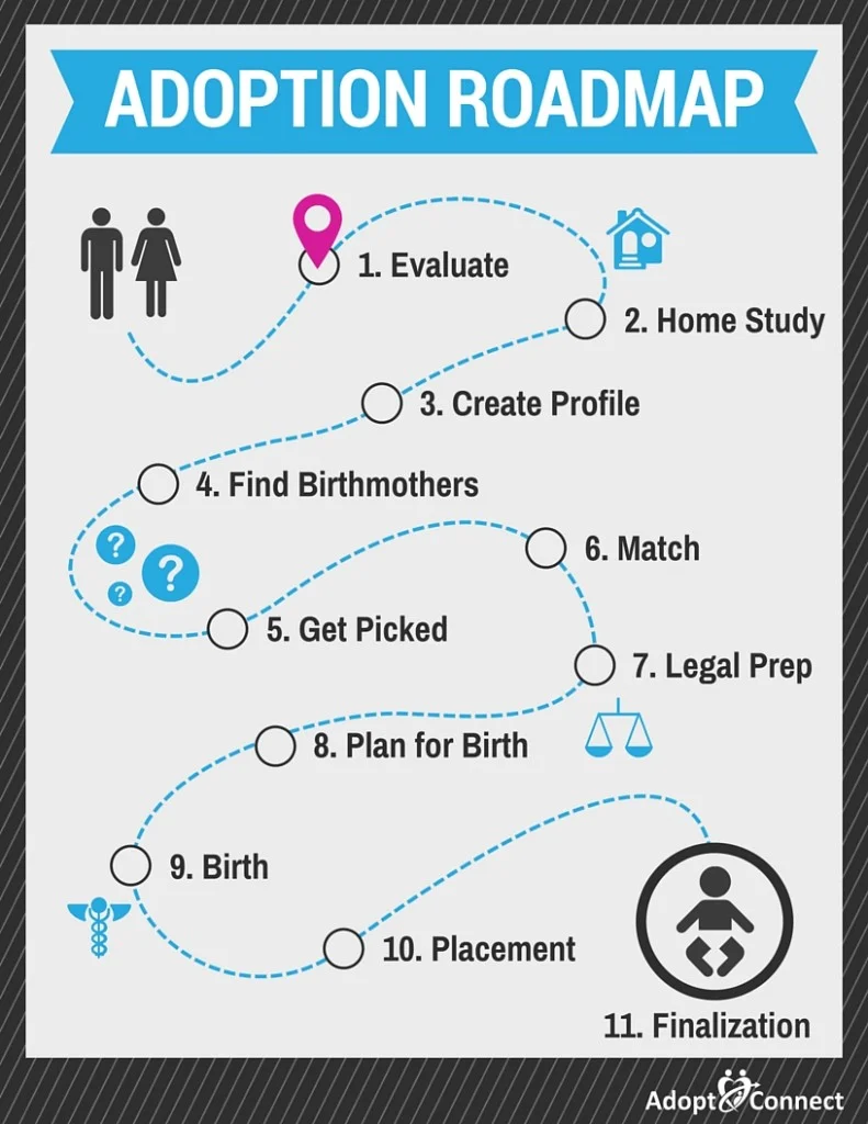 adoption_roadmap_01_evaluate-791x1024.jpg