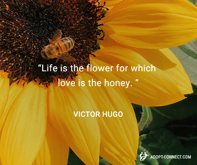 love-is-flower-and-honey-quote-by-victor-hugo.jpg