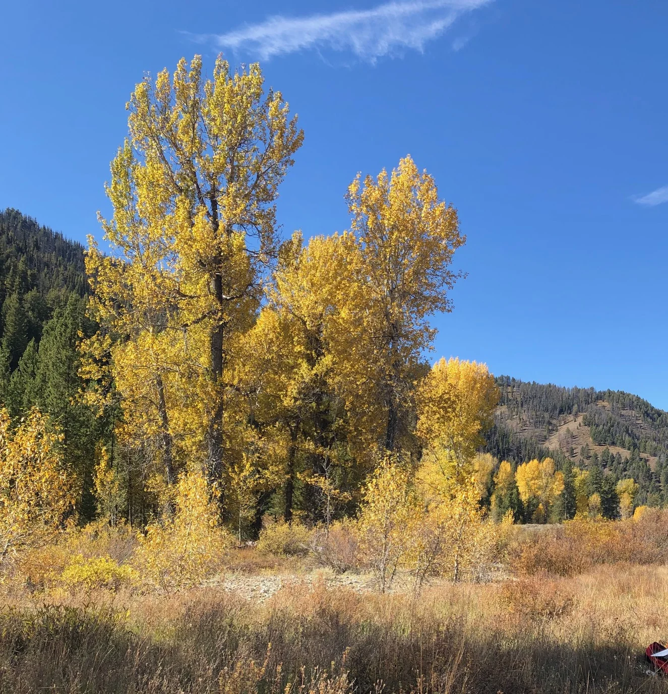Fall in Sun Valley