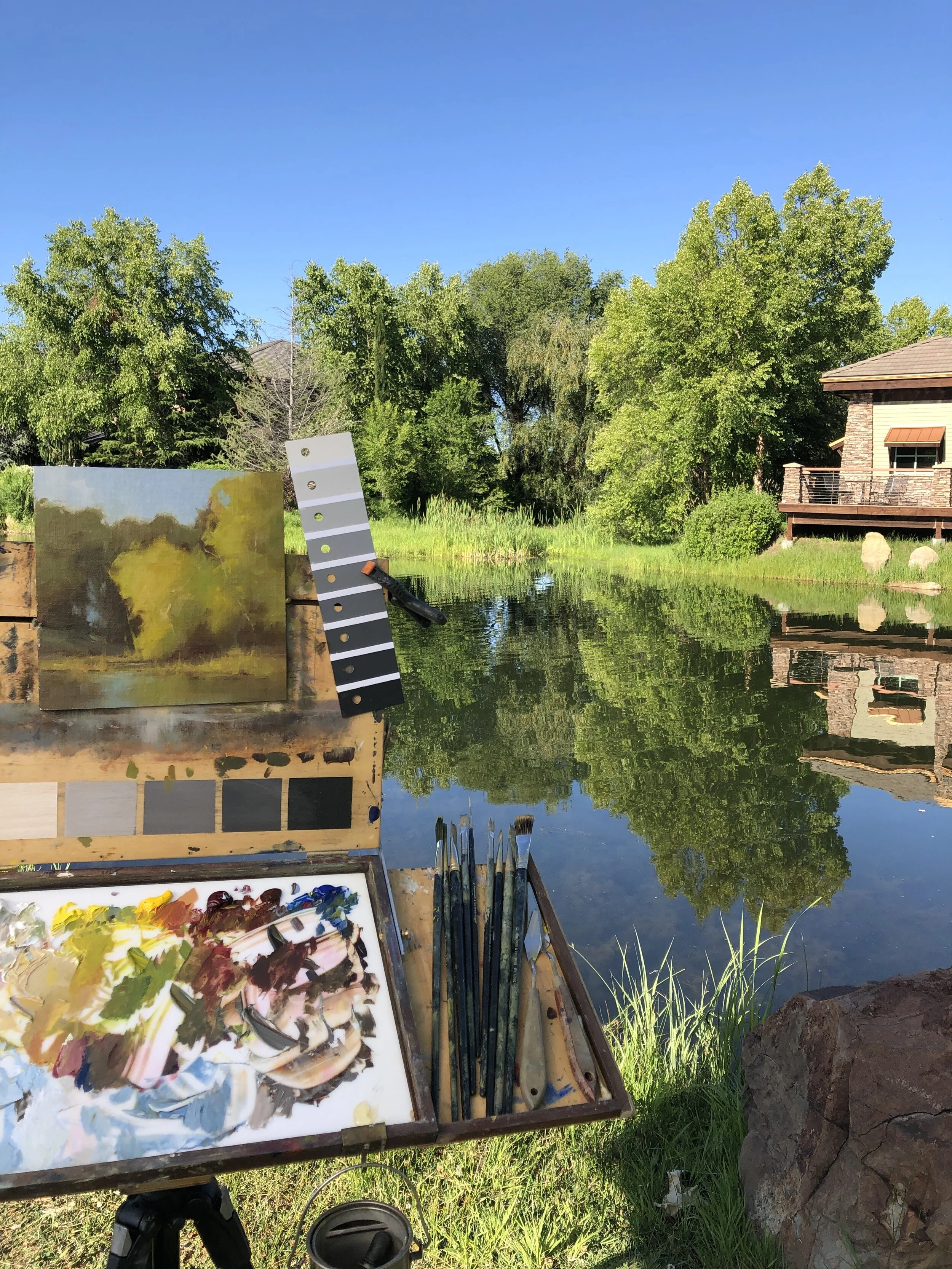 Driggs (Virtual ) Plein Air 2020