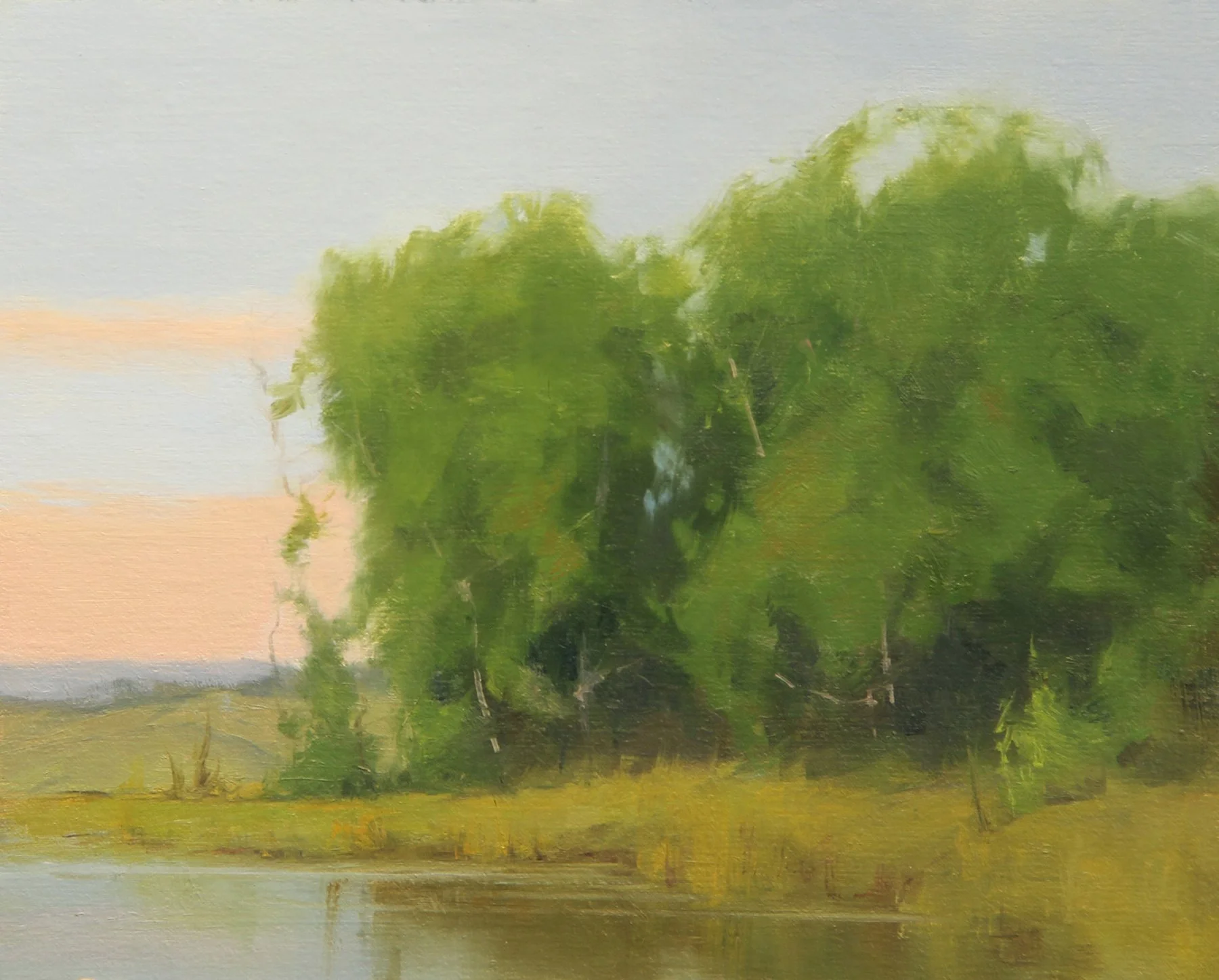 New Gallery Representation