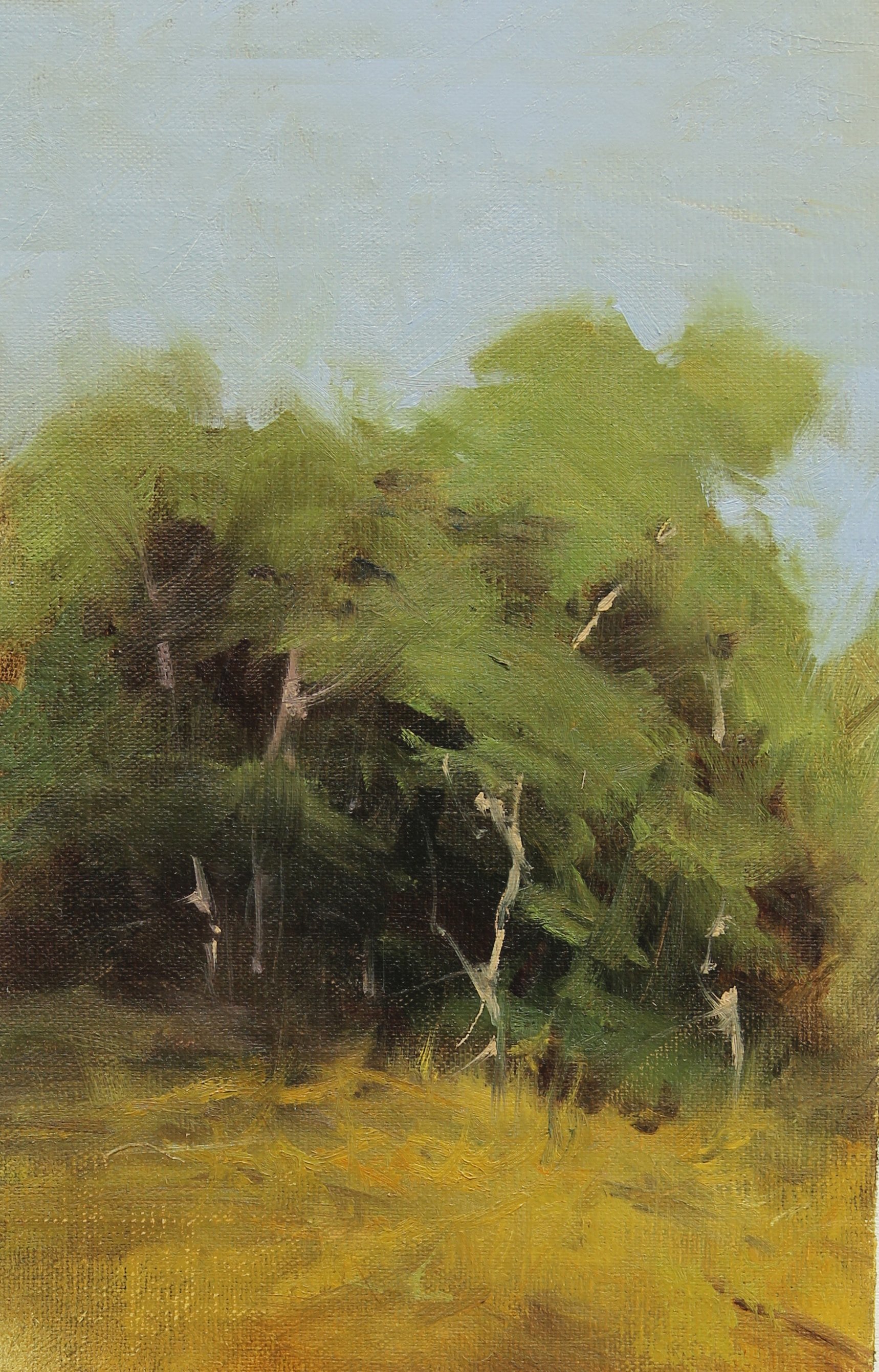cottonwood tree painting.jpg