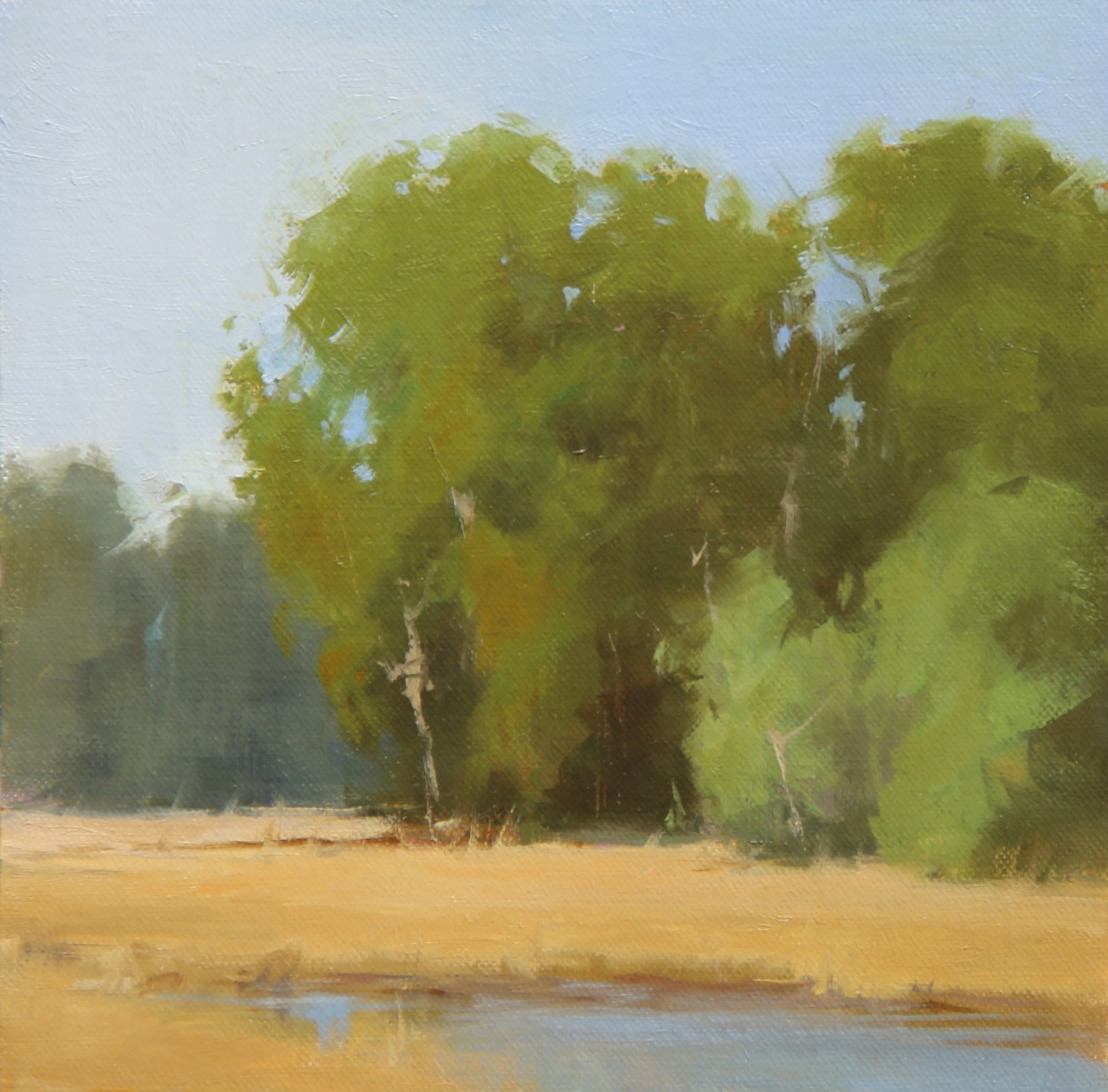 Cottonwood Meadow 2023.jpg