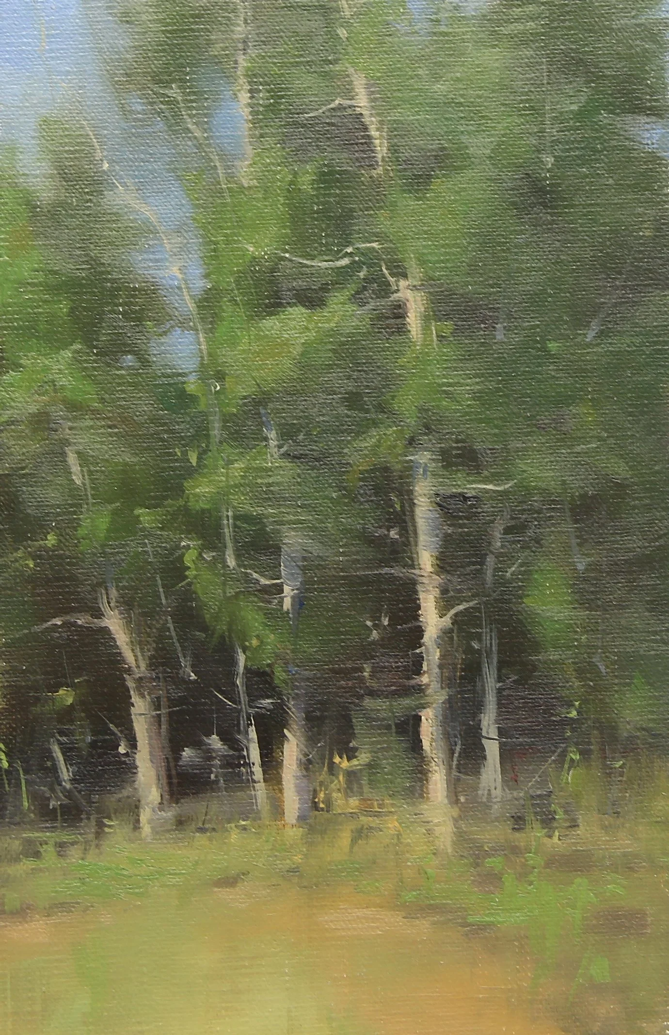 aspen tree painting.jpg