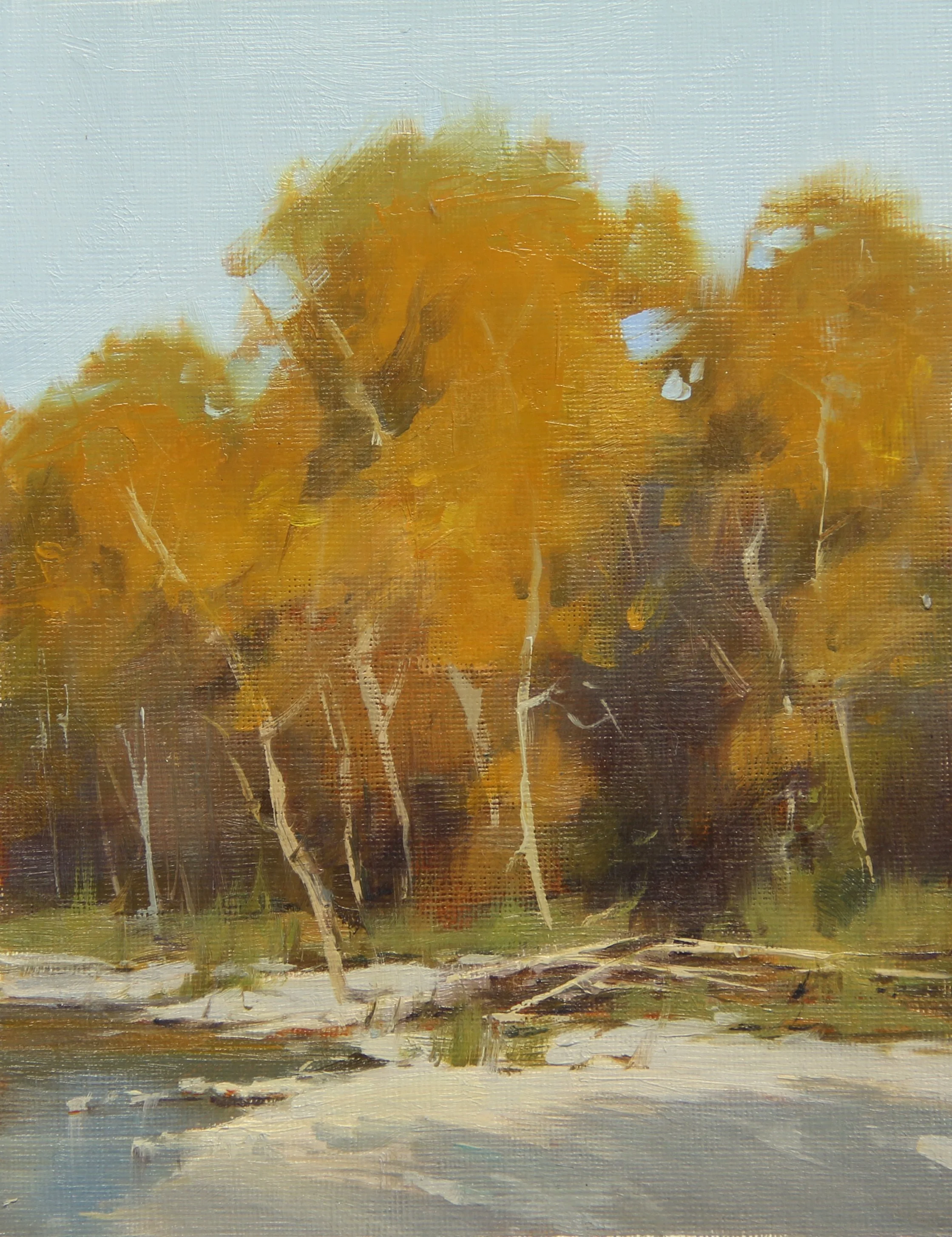 IMG_3079 cropped.jpg