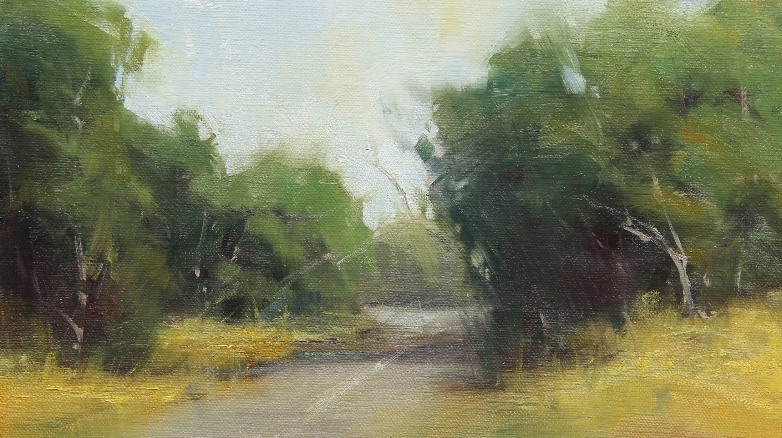 green tree pathway.jpg