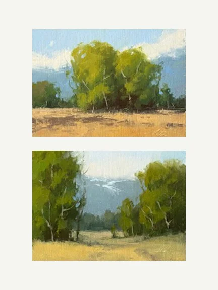 Golden Meadow and Bitterroot Meadow