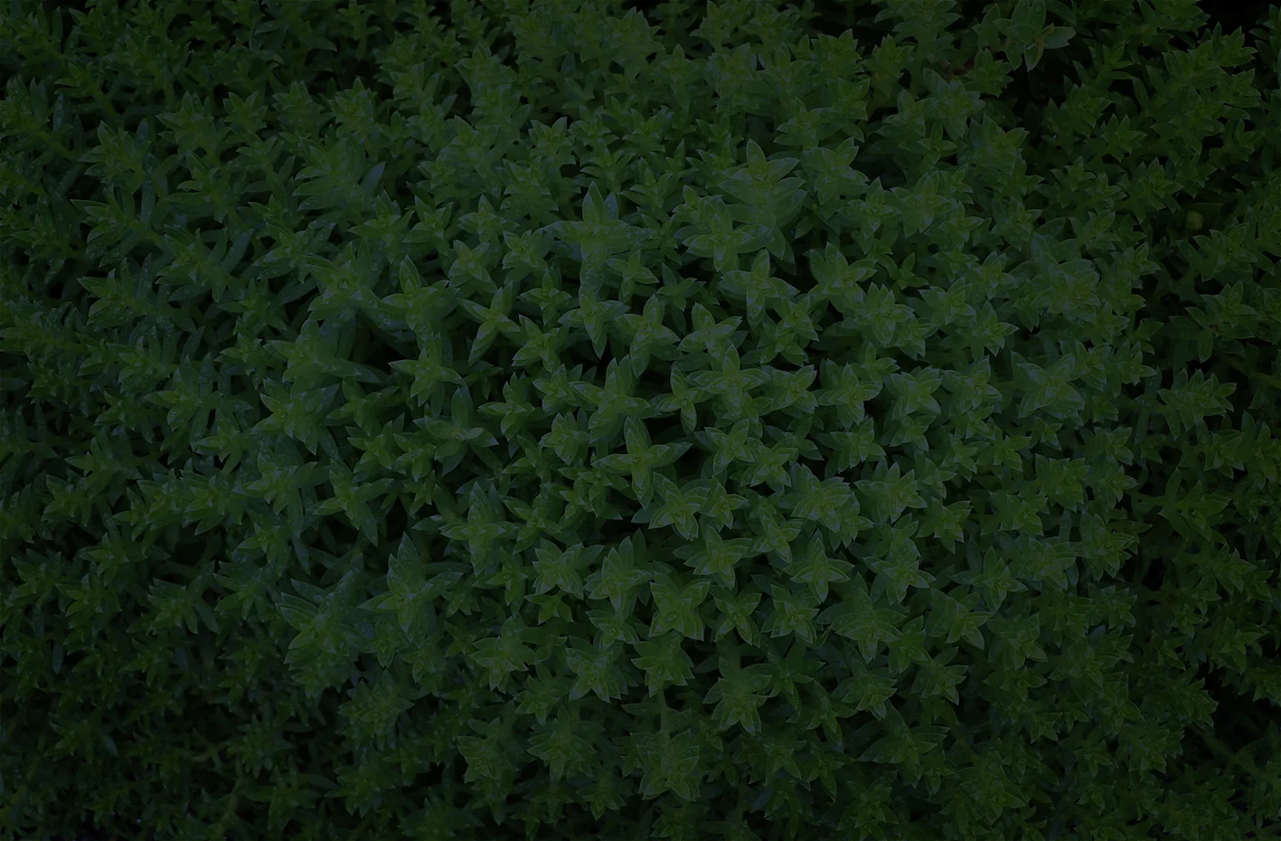 green_textures.jpg