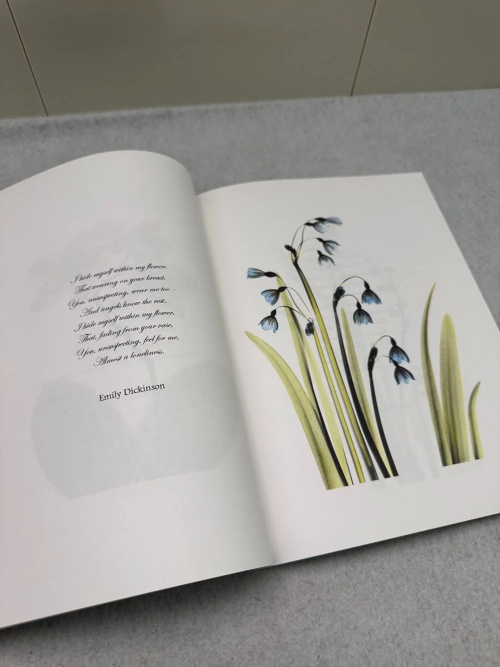 Softcover06-960x1280.jpg