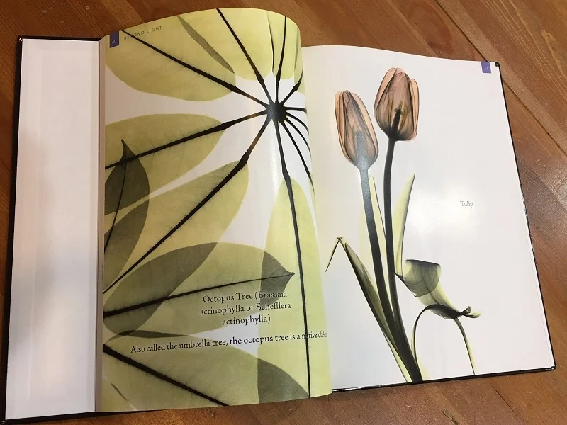 BookPics1-800x600.jpg