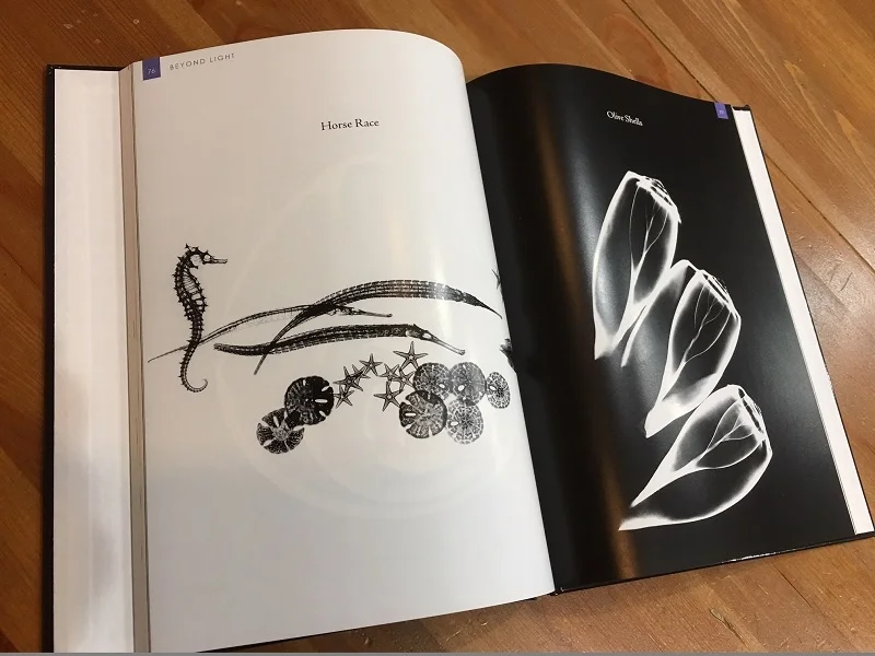 BookPics2-800x600.jpg