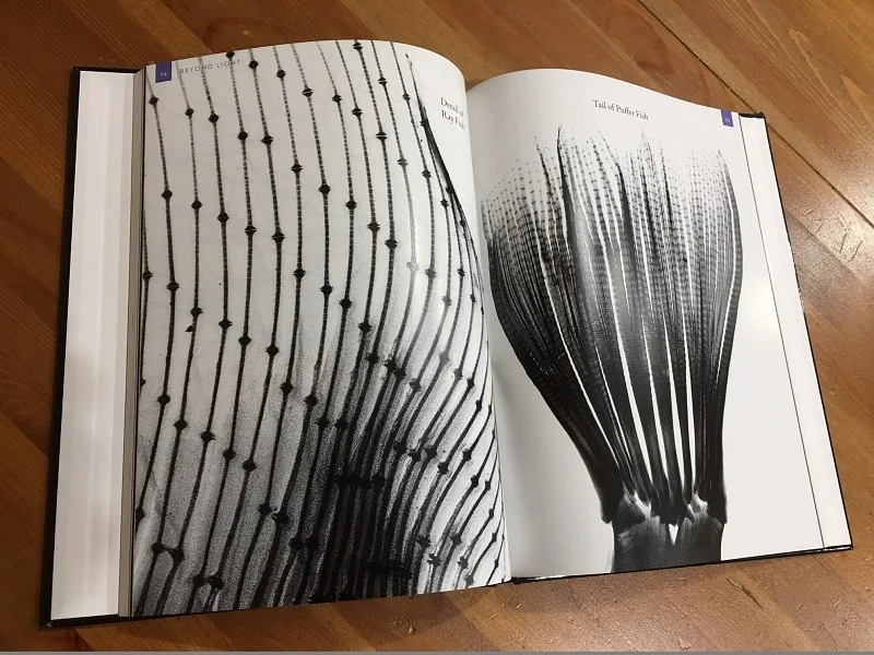 BookPics3-800x600.jpg