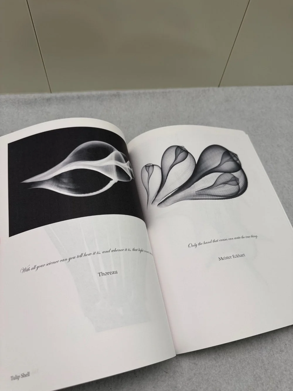 Softcover07-960x1280.jpg